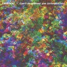 caribou-cantdowithoutyou